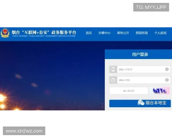 大玩家平台登录网址使用指南，轻松注册与登录步骤解析